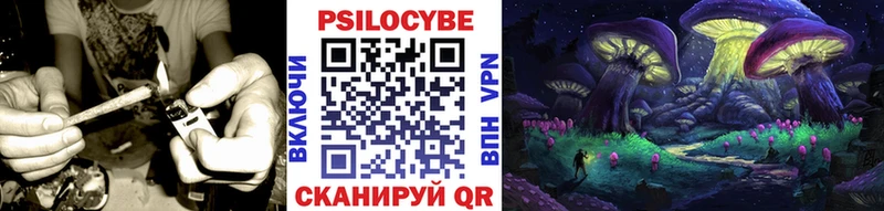 блэк спрут зеркало  Печоры  Псилоцибиновые грибы мицелий 