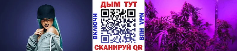 hydra зеркало  даркнет сайт  Печоры  Марихуана конопля 